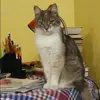 Отзыв от Юлия Латышева
